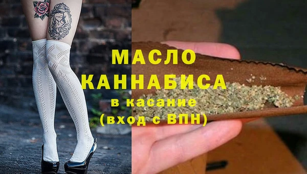 индика Дмитриев